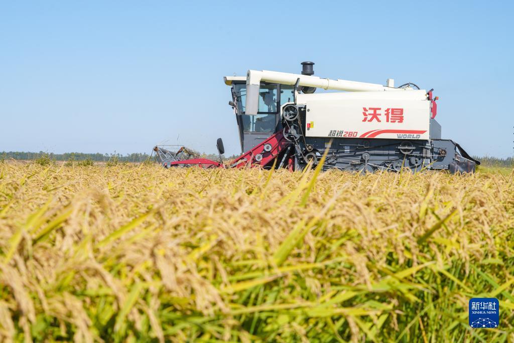 电游平台网